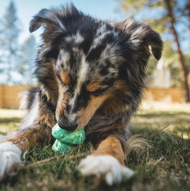 Screenshot 2026-02-21 at 4.27.57 PM.png