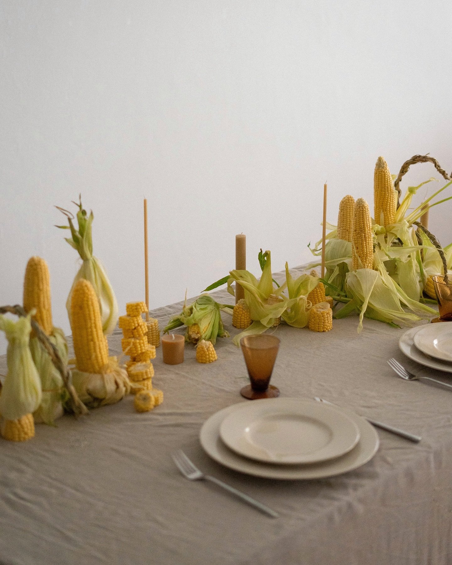 🌽🌽🌽🌽🌽🌽🌽🌽🌽🌽🌽🌽🌽🌽🌽