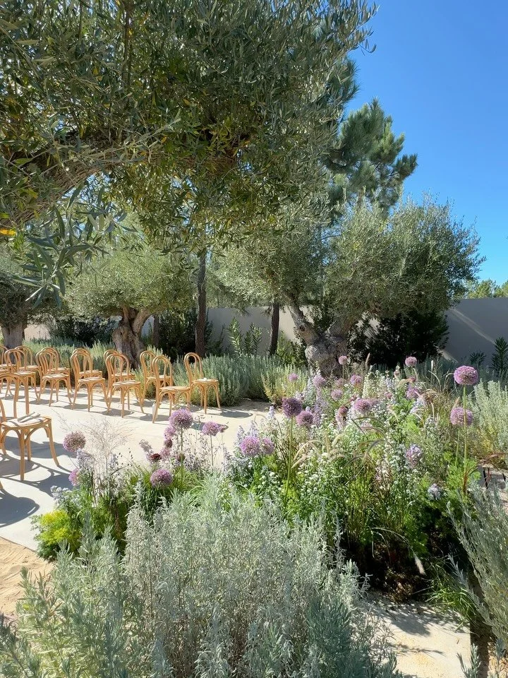 The allium garden, for Allie &amp; Zach 

with @annagoodweddingsevents in @spatiacomporta