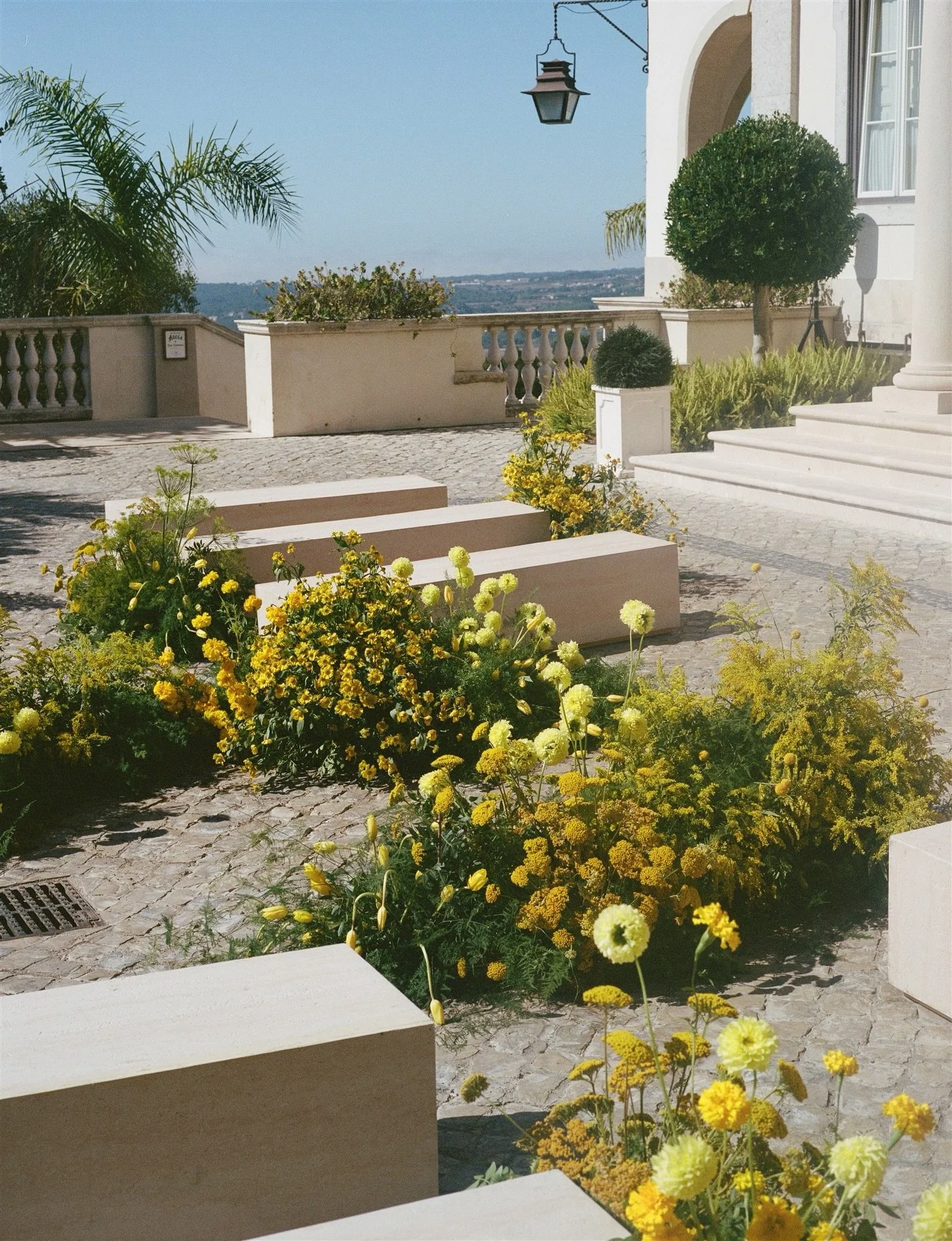 Feels like gold

For @sahar.jahangard &amp; @mac_fisher_ 

With
@loversstudioevents
@ohmariaflores
@nonaked_design_studio
@bellavistasintra
@alta__studio
@fullcut
@your_jukebox
@aura.rentals
@helena.ausra
@joaogasparportugal