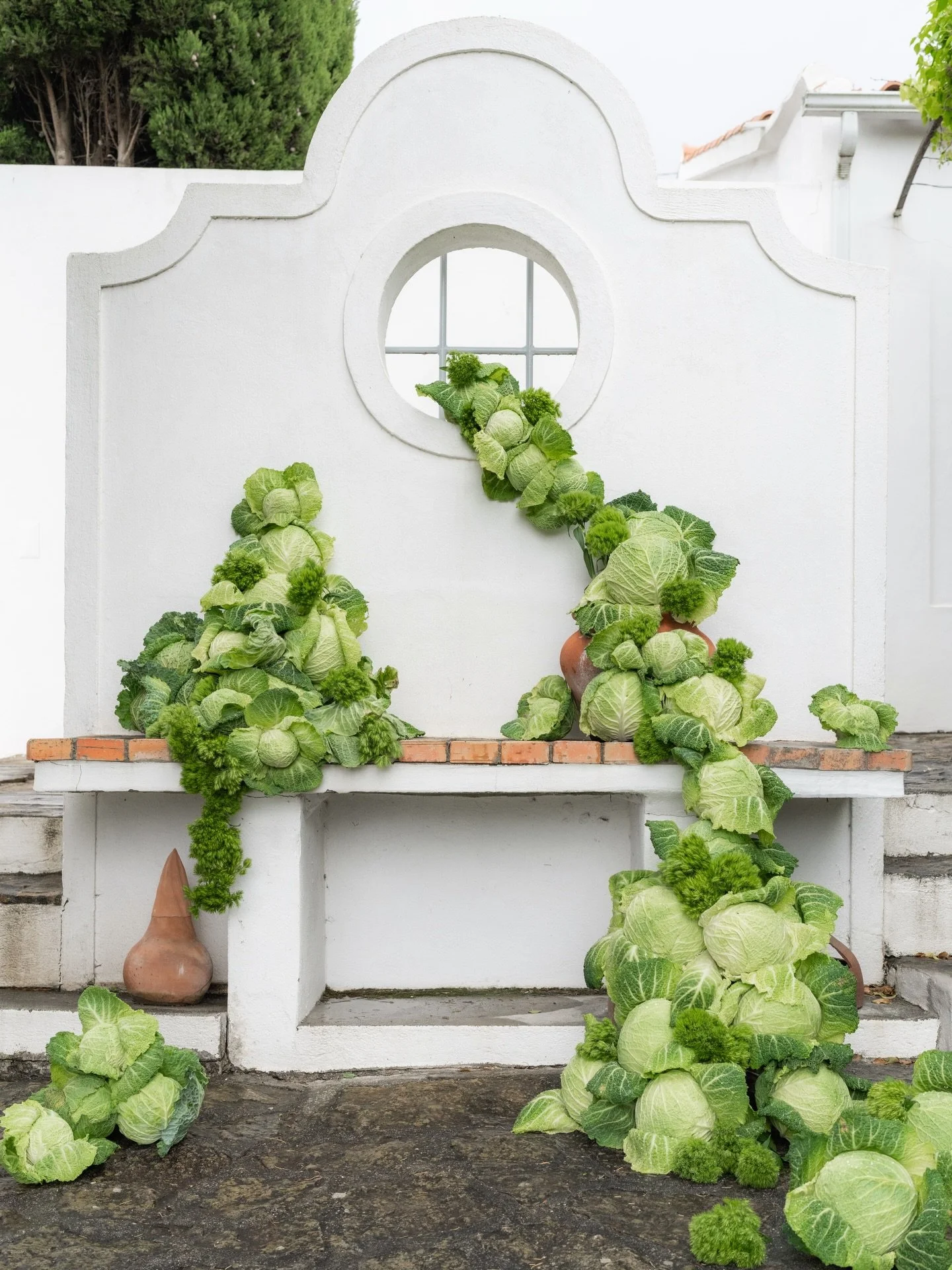 They are saying that 2026 is the cabbage year and we&rsquo;re like, what do you mean??????????????????