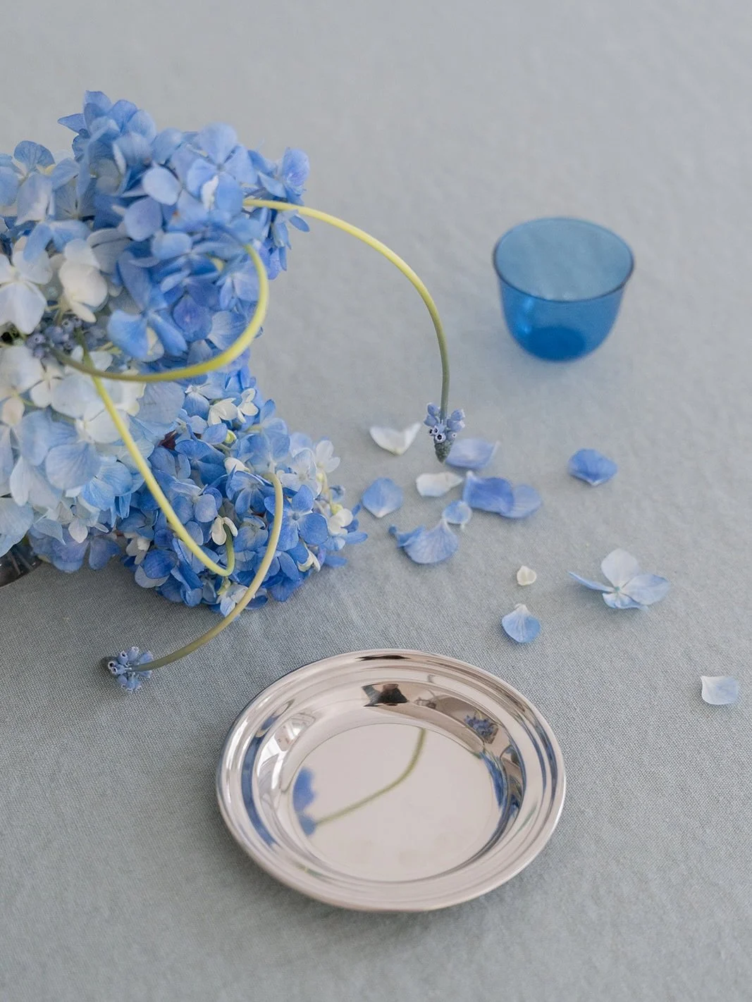 Coloring, a study in blue hydrangeas and muscari
