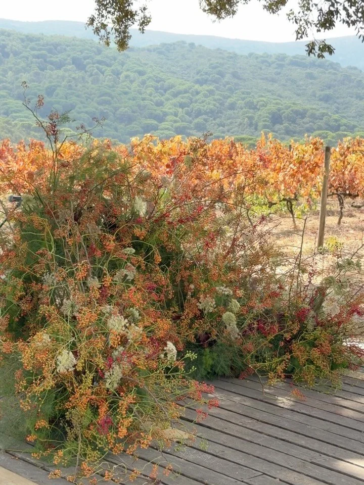 Painting Autumn 🍂🍁🤎🌾