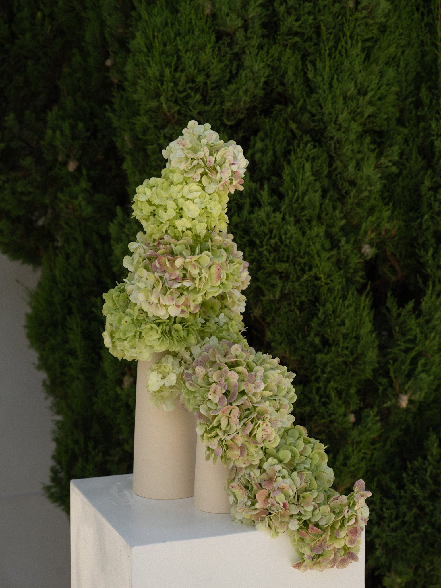 Sculptural Backdrop Design Wedding at Casa Sacoto.jpg