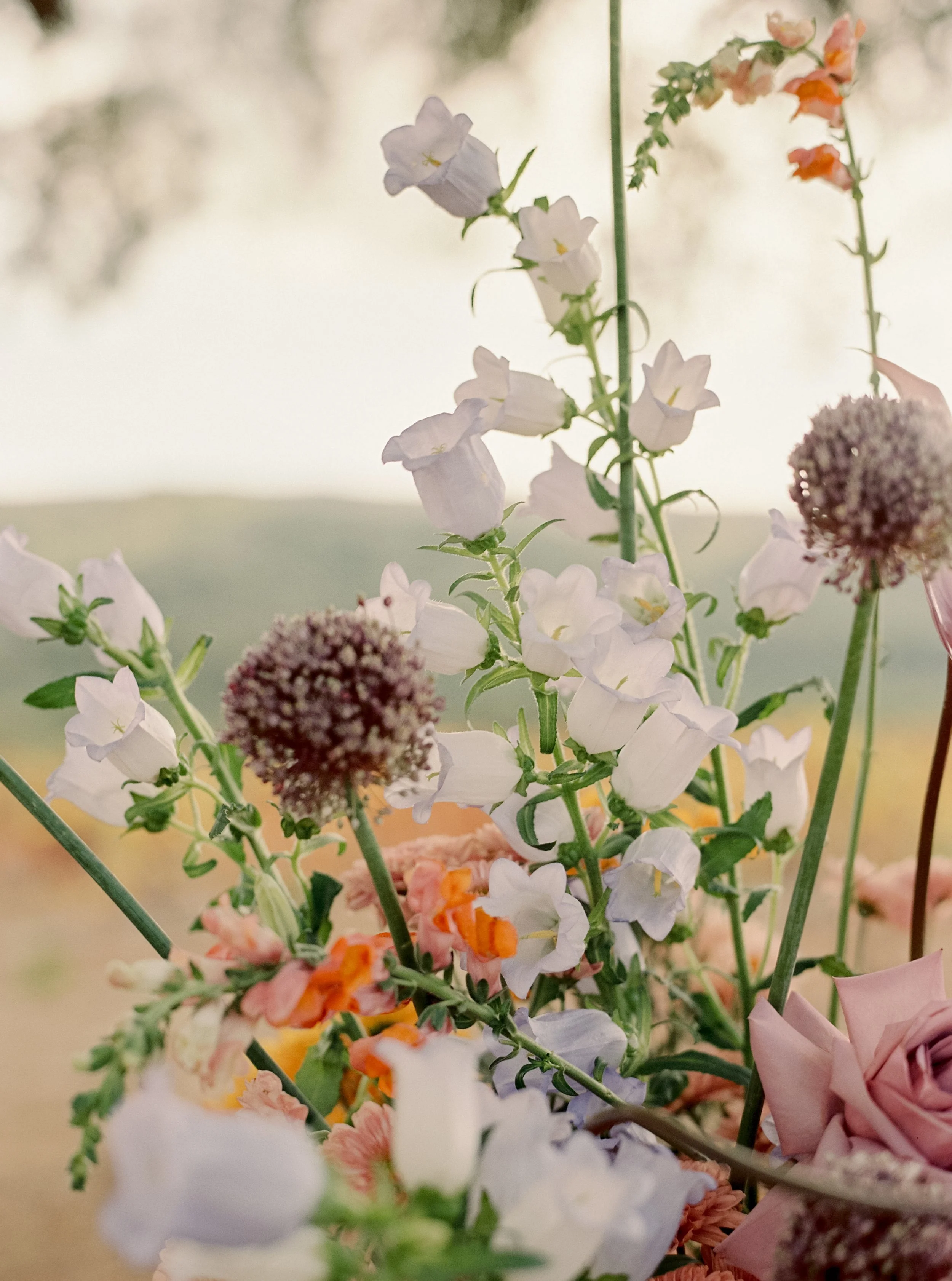 caroline&will-sneakpeeks-alicevicenteweddings-6.JPG