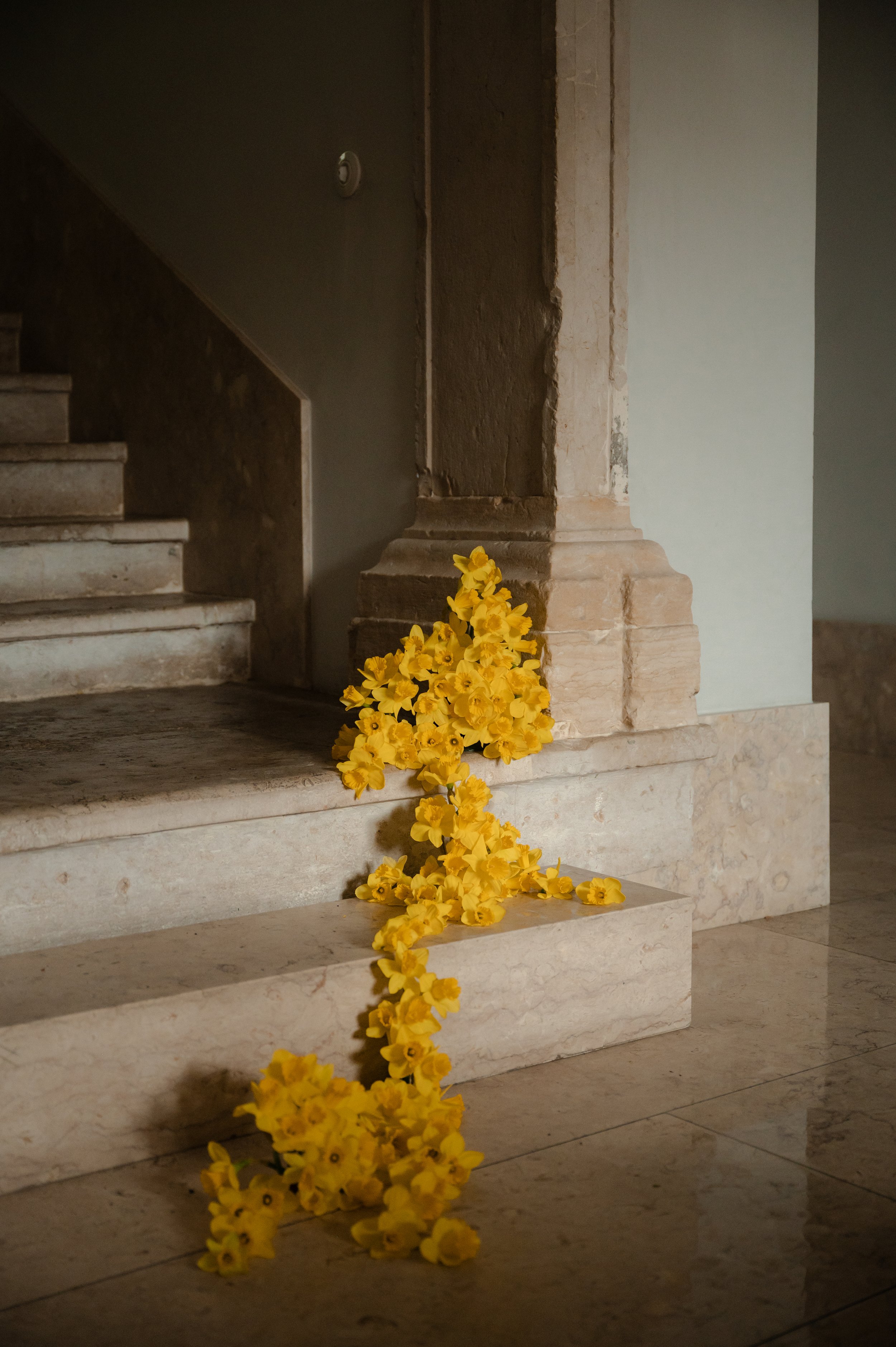 Portugal-Modern-Florist.jpg