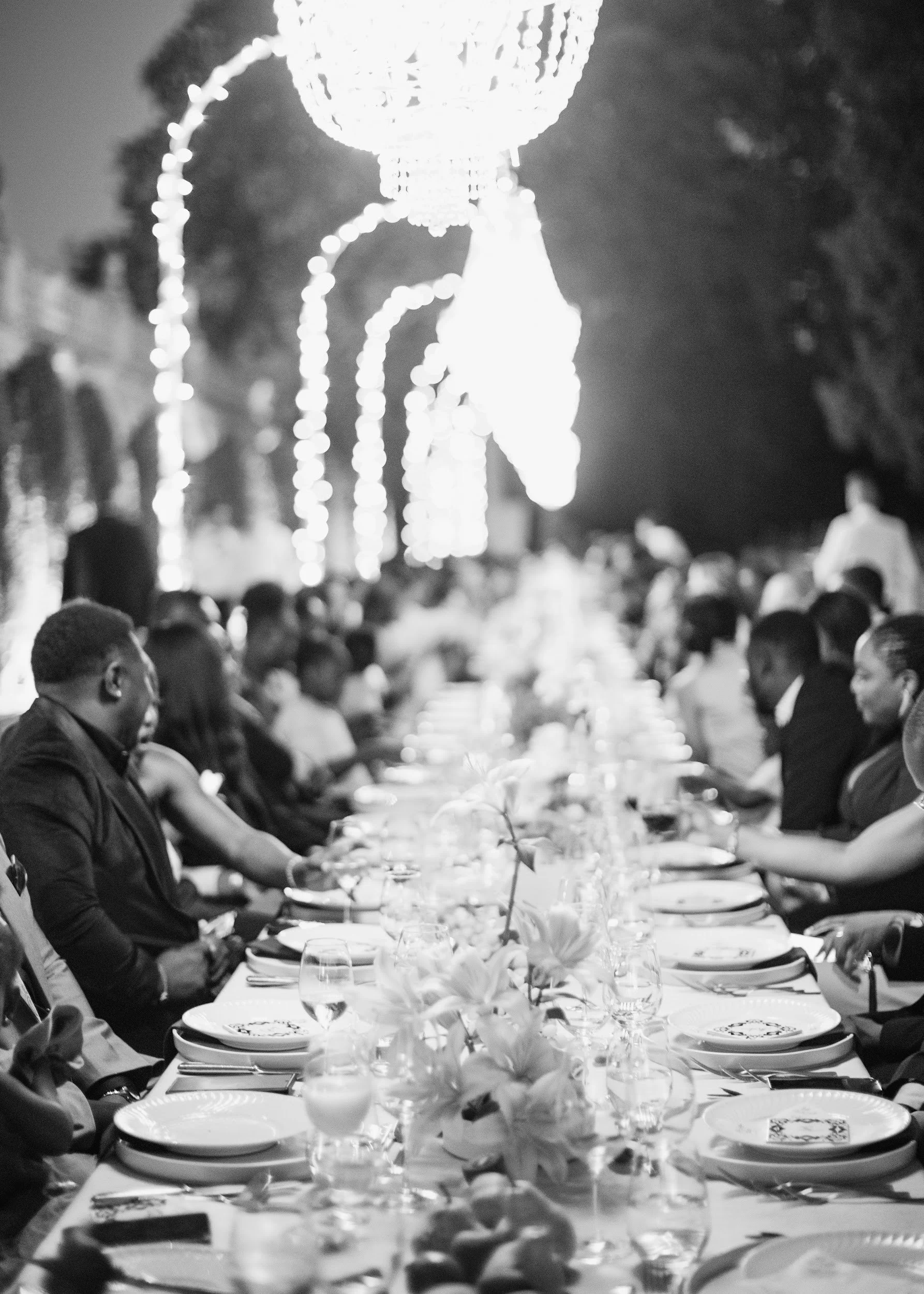 Best Conceptual Florist in Portugal.JPG