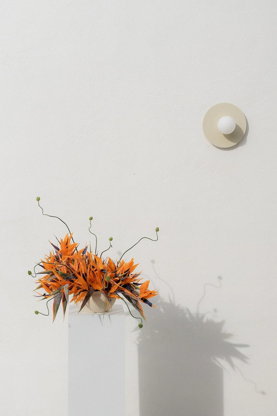 sculptural-bird-of-paradise-floral-design-oh-maria-flores.jpg