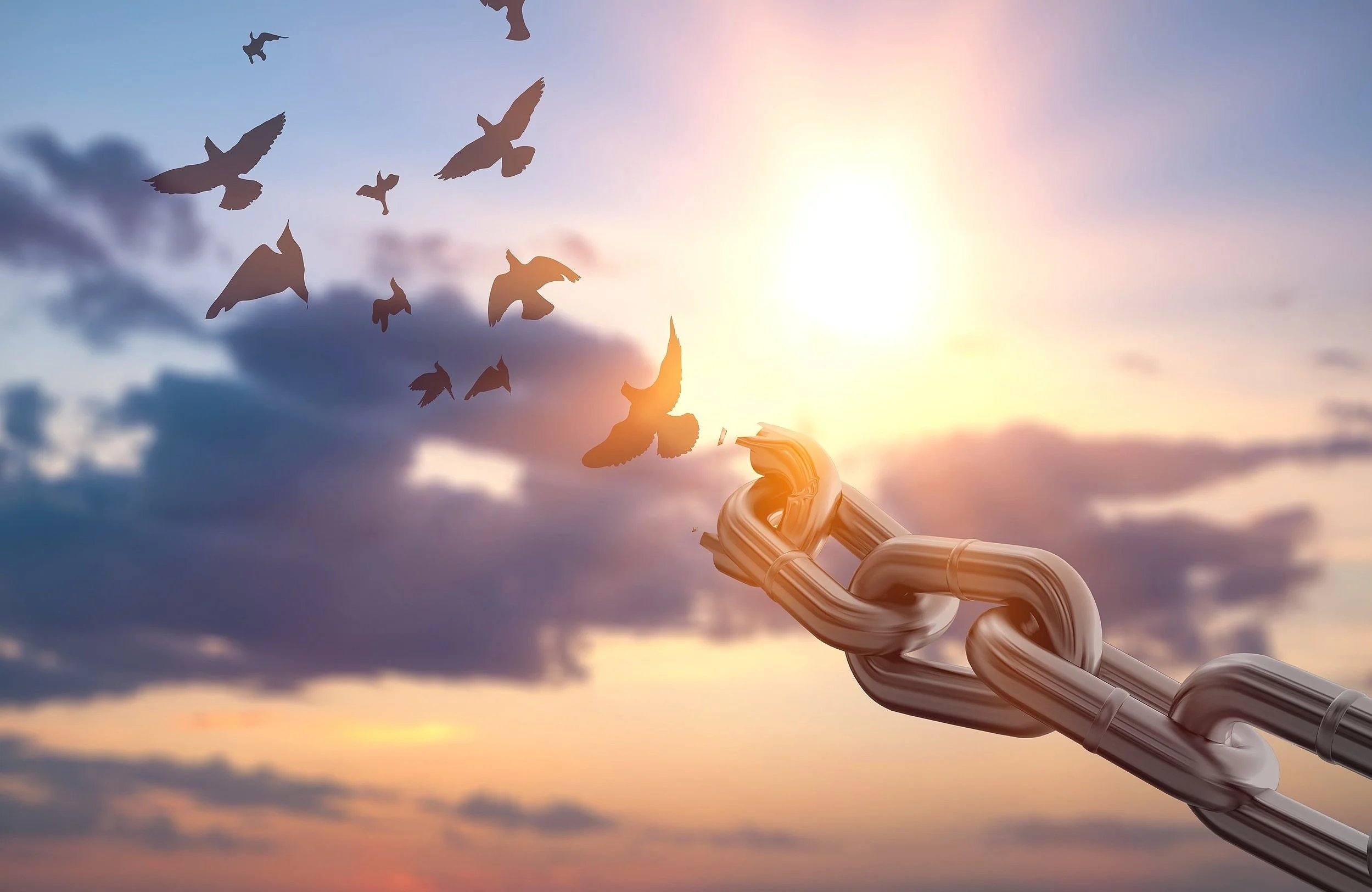 The power of forgiveness