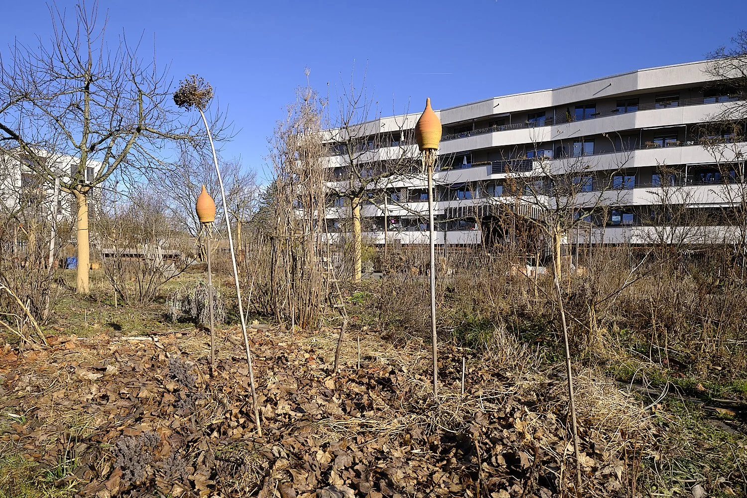 Einfache Anbauplanung mit der Vierfelder-Rotations-Mischkultur