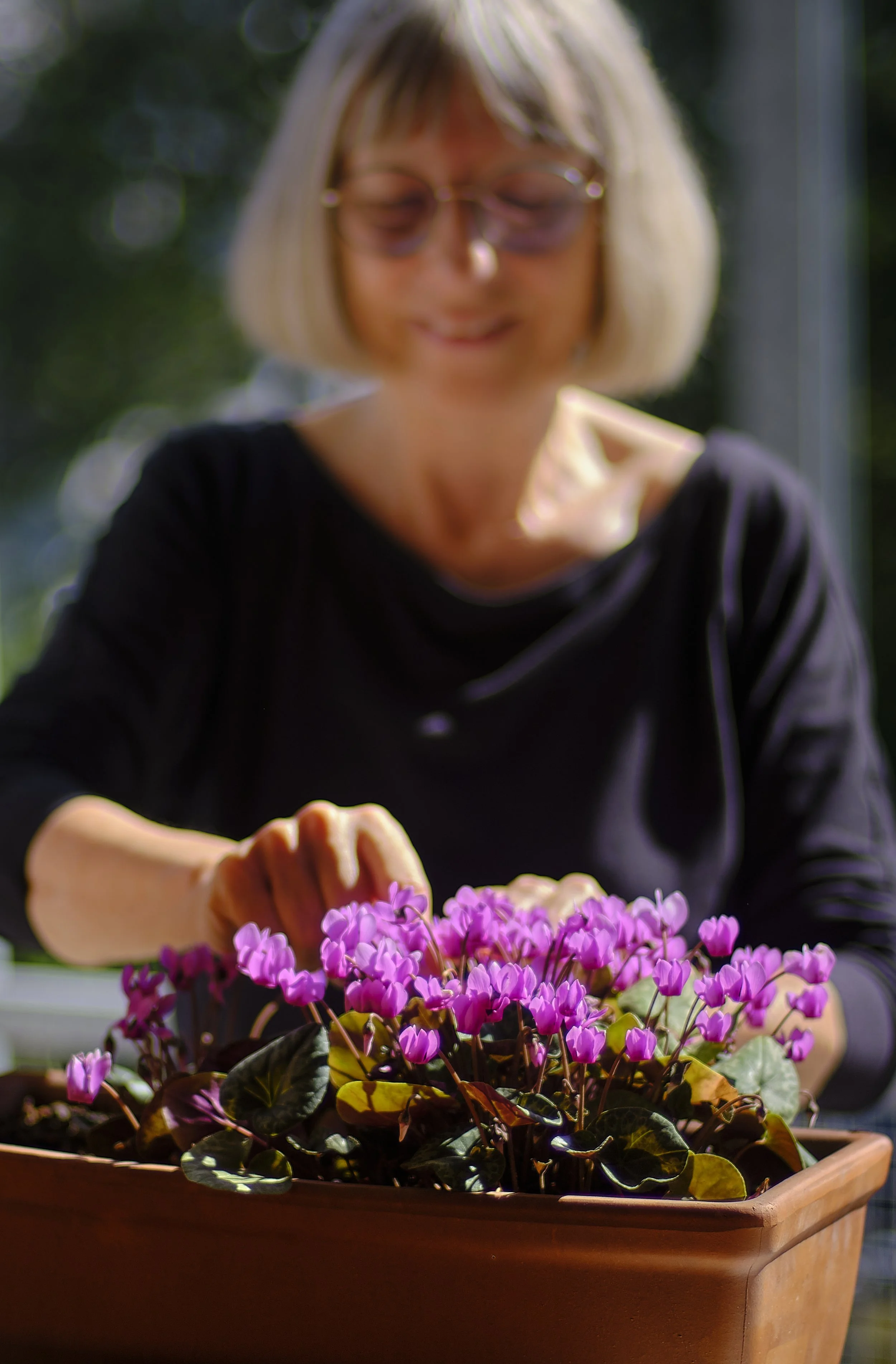 Hannelore1.jpg