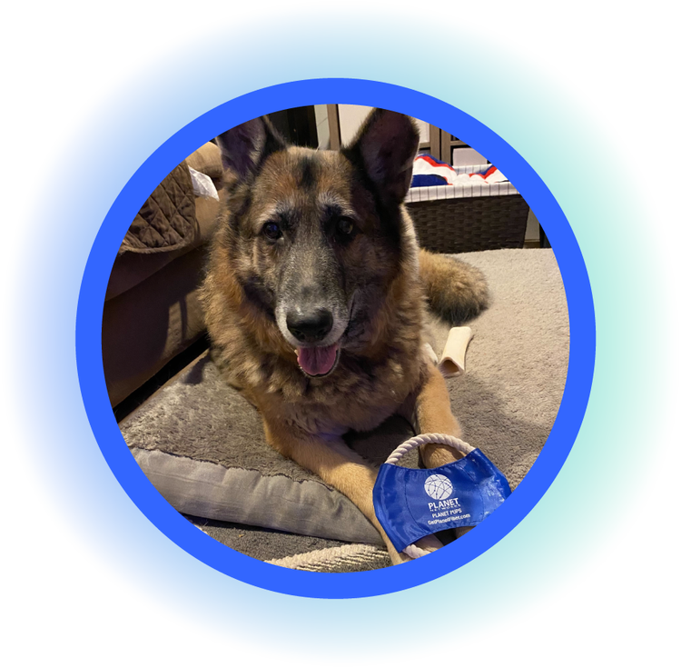 Planet Fiber LightSpeed25 Black Friday Promo