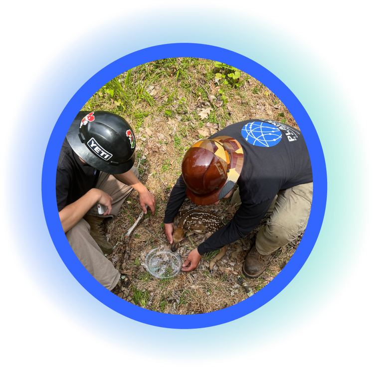 Planet Fiber LightSpeed40 Black Friday Promo