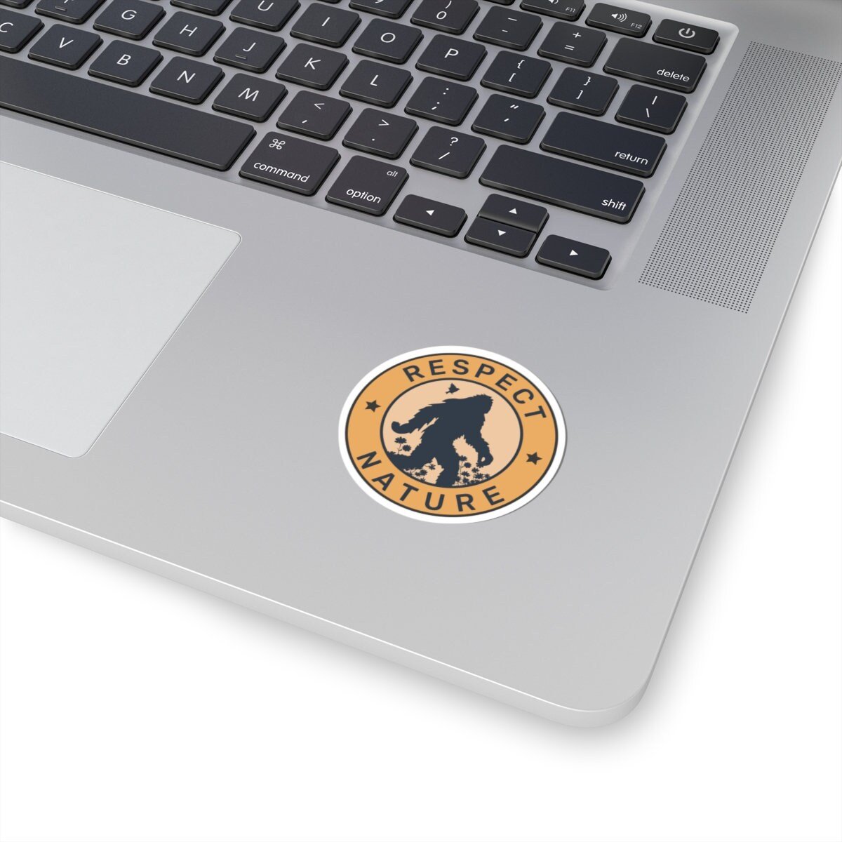 https://i.etsystatic.com/46244244/r/il/c17147/5755470302/il_fullxfull.5755470302_8o6e.jpg