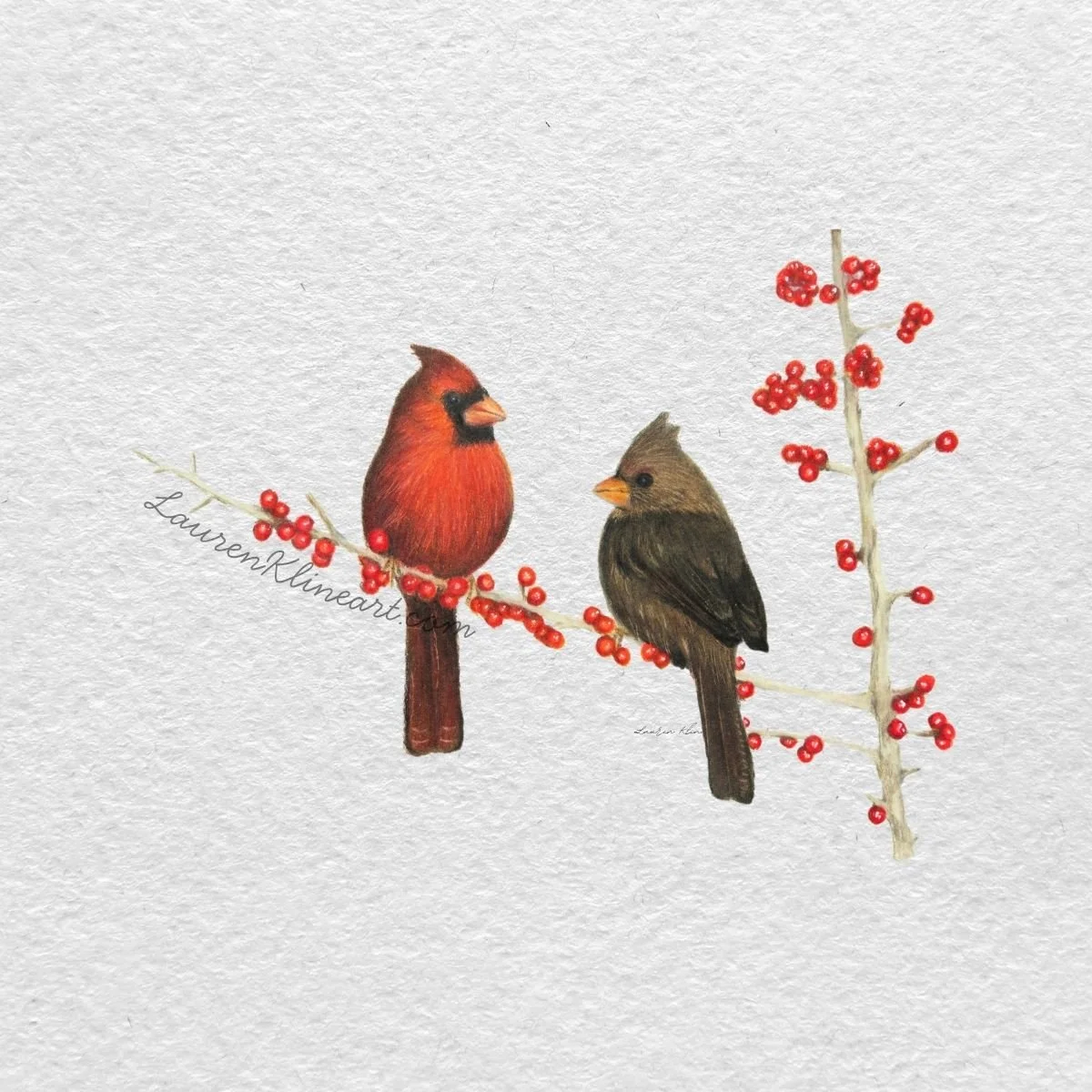Two Cardinals.jpg