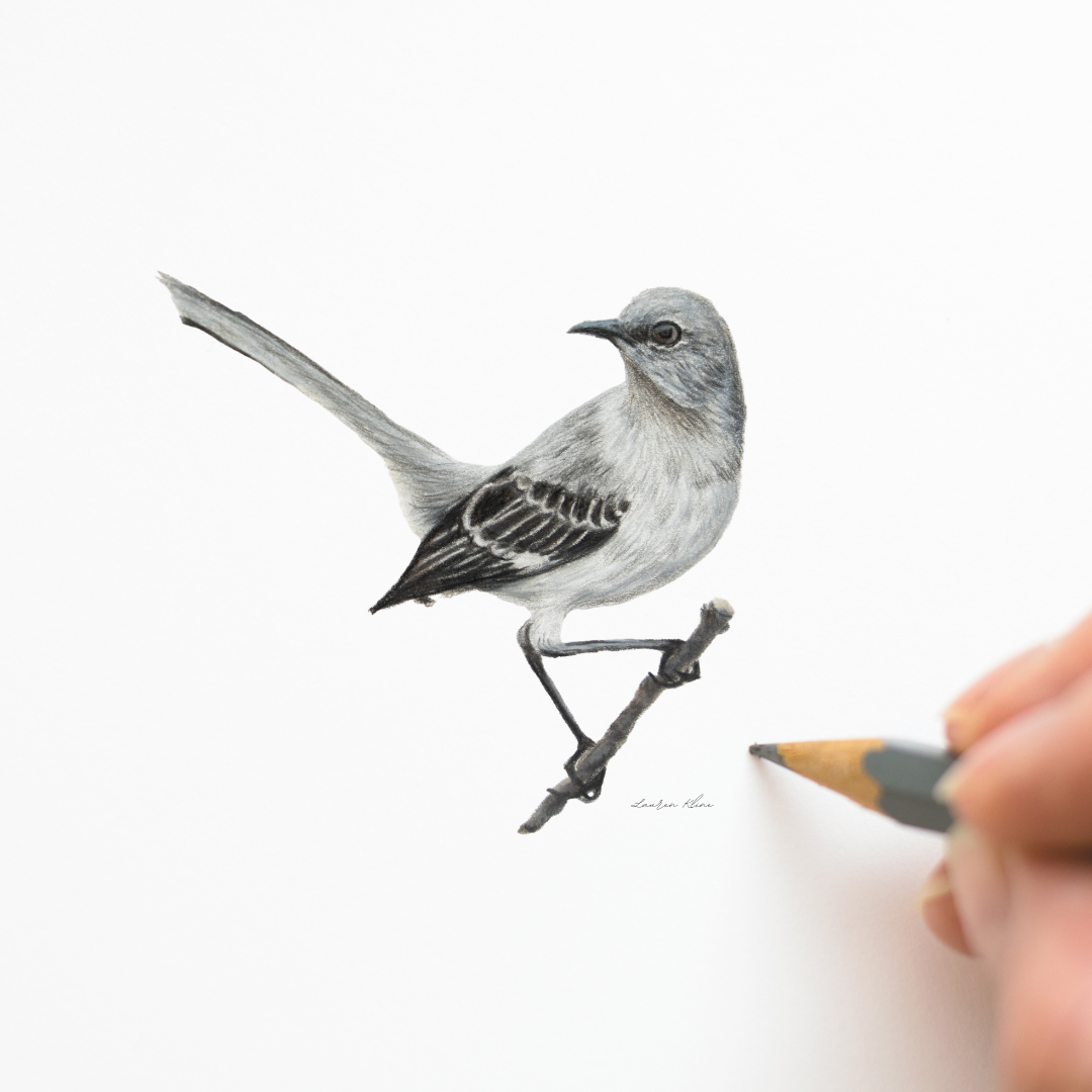 mockingbird.png