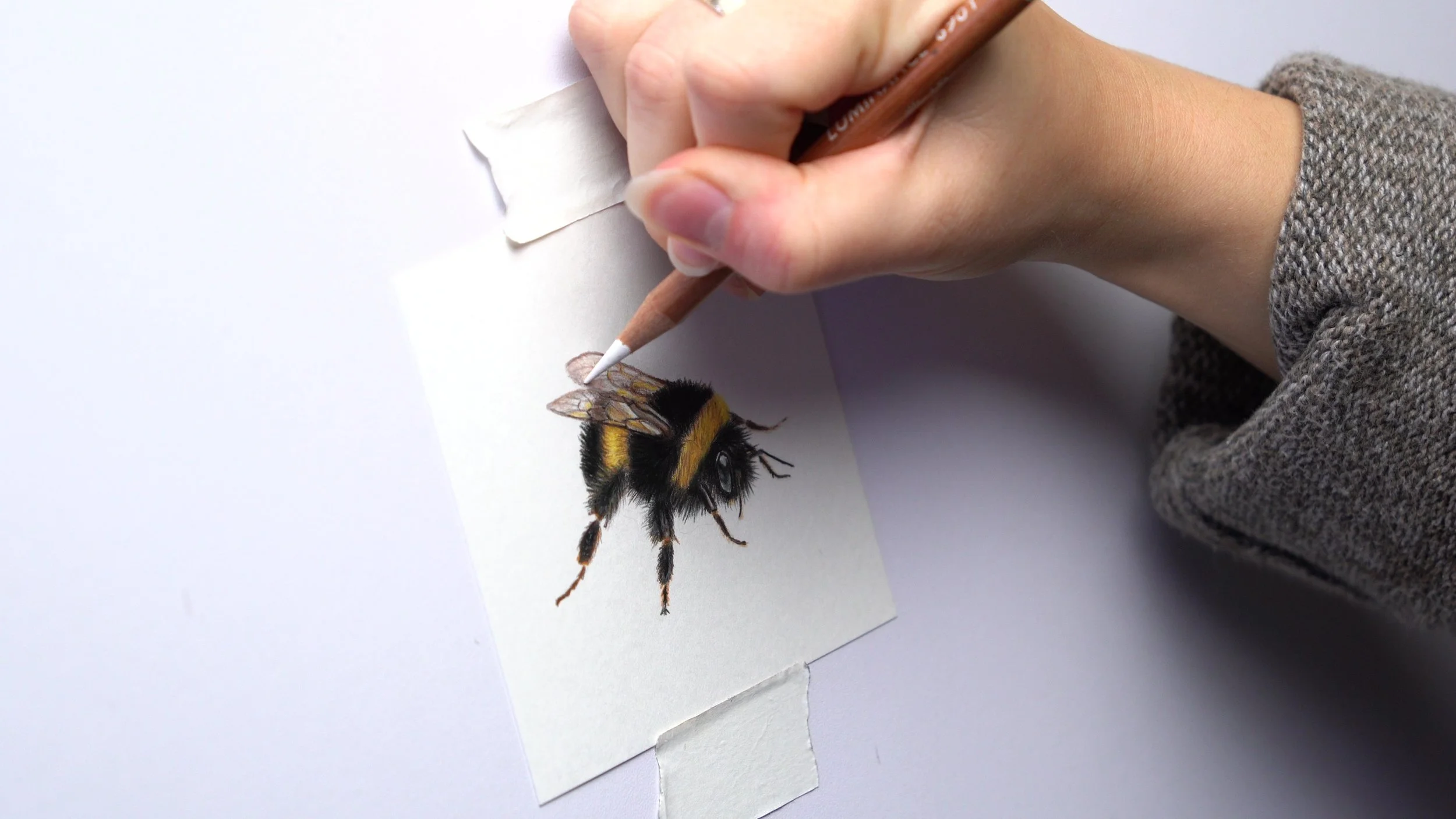 How to draw a bumble bee