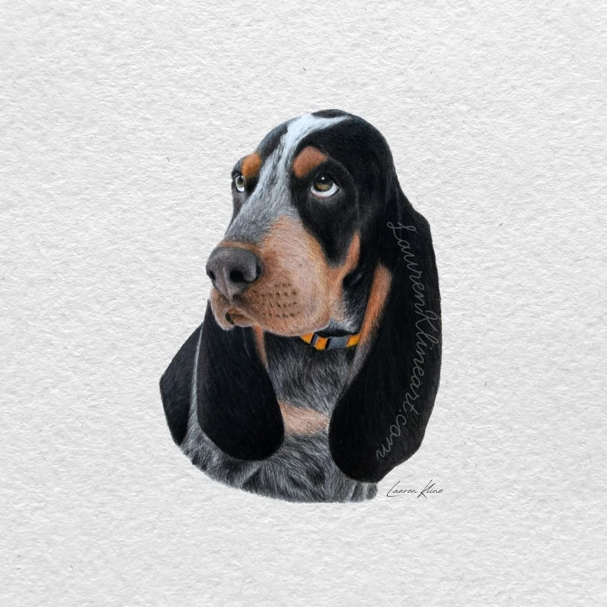 Puppy Smokey.jpg