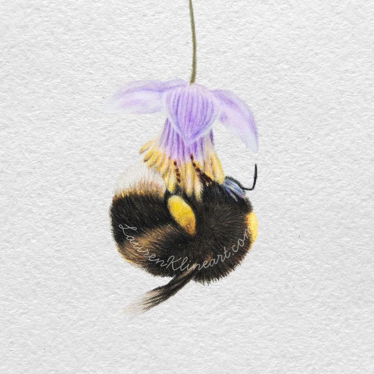 The Pollinator.jpg