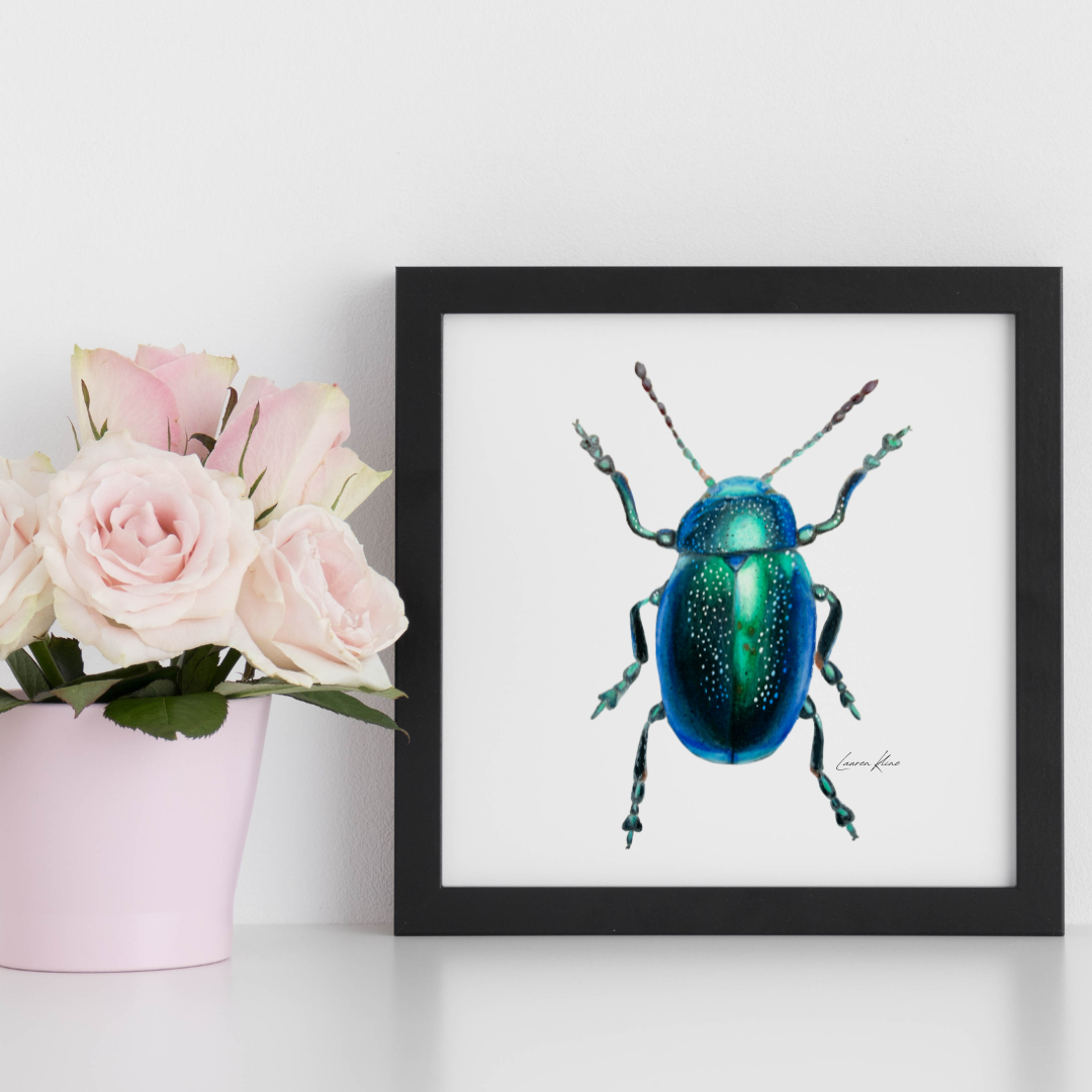 Beetle