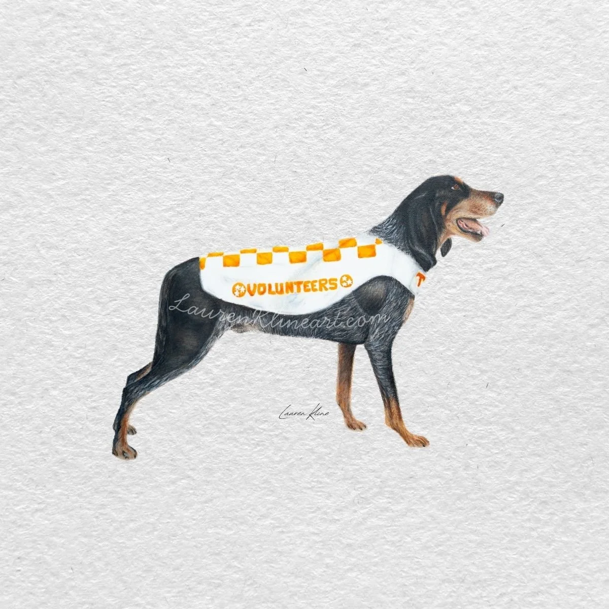 Smokey UT.jpg