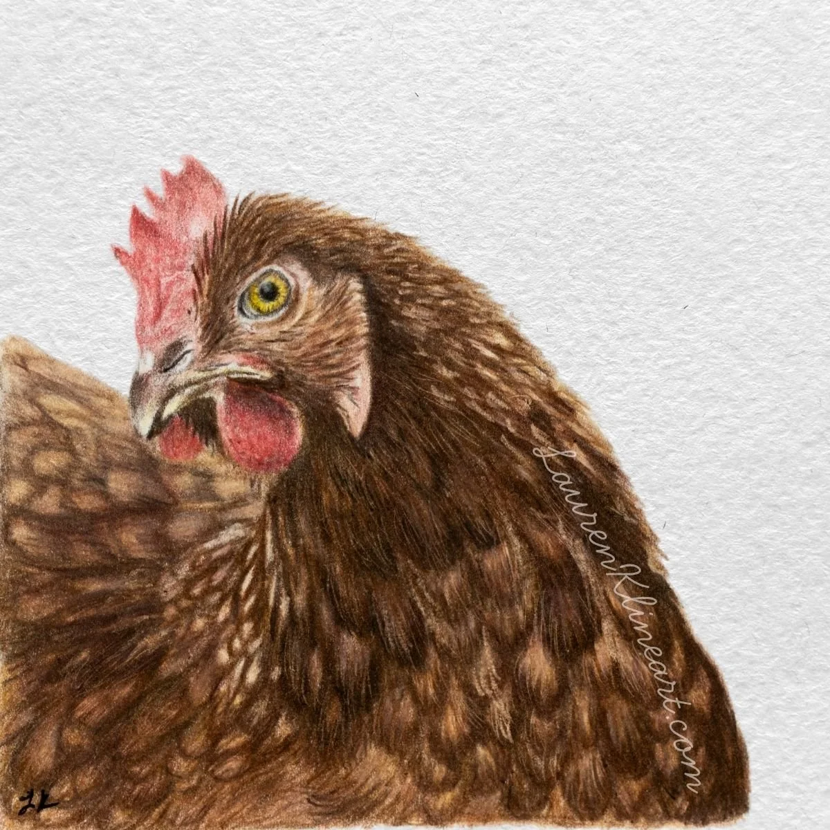 Chicken.jpg