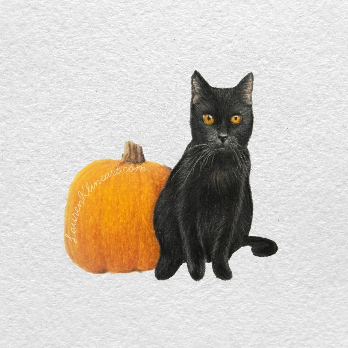 Black Cat.jpg
