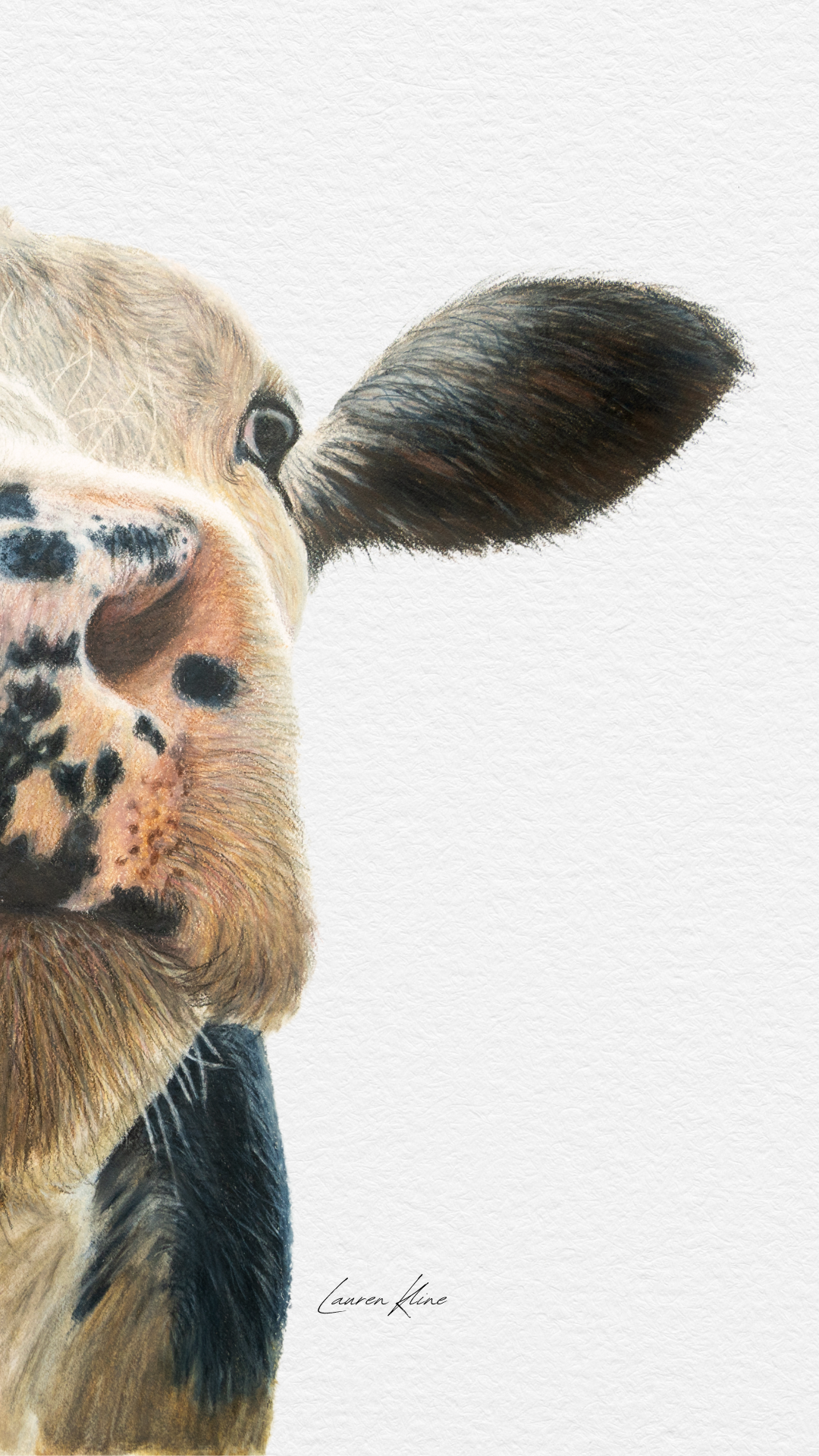 Dairy Cow.png