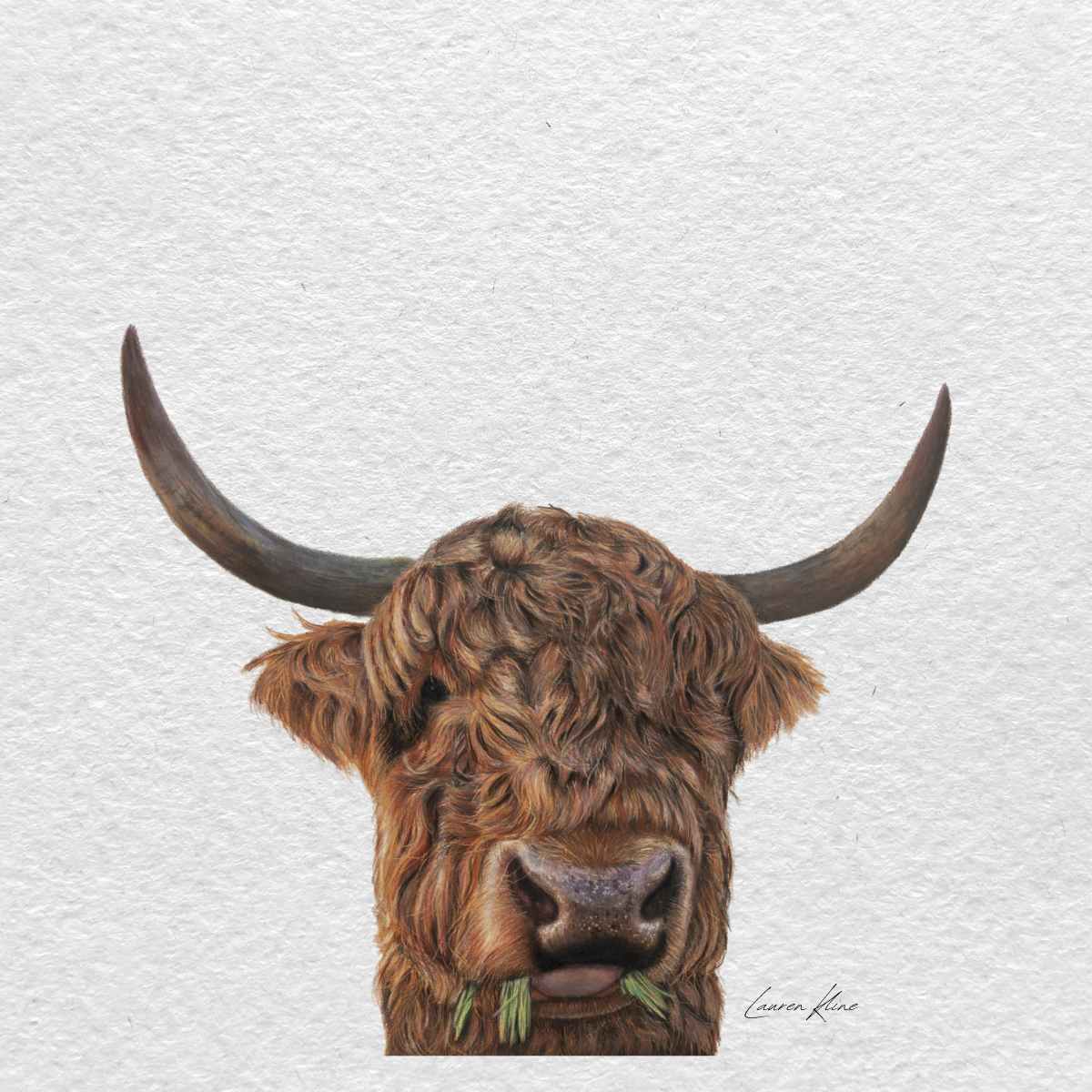 highland cow.png
