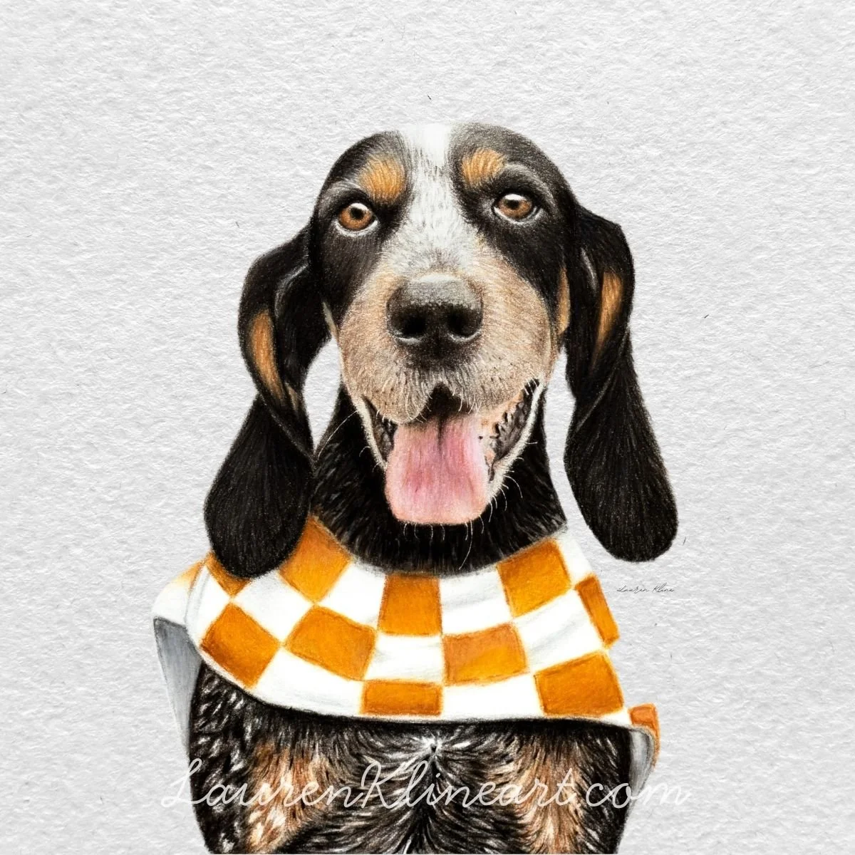 Smokey.jpg