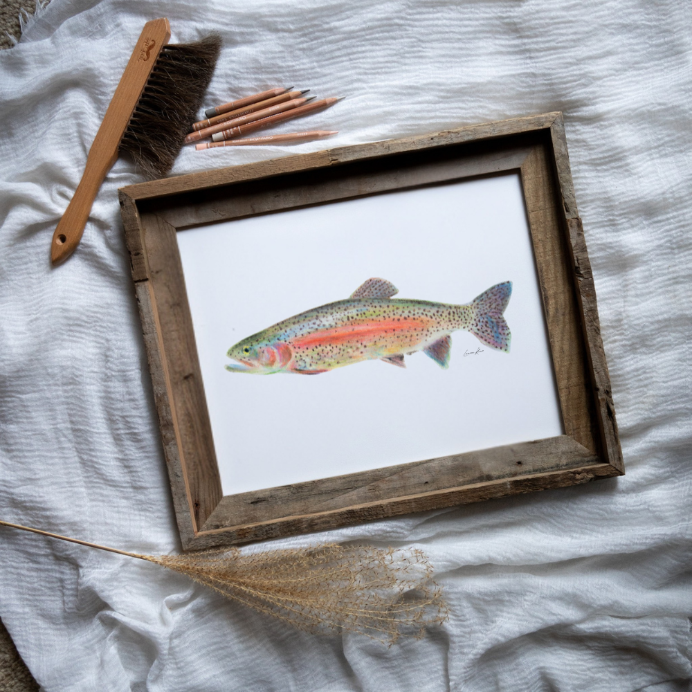 Rainbow Trout