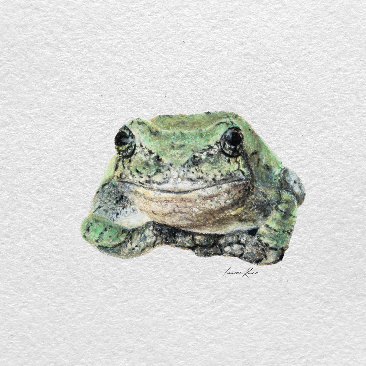 frog.png