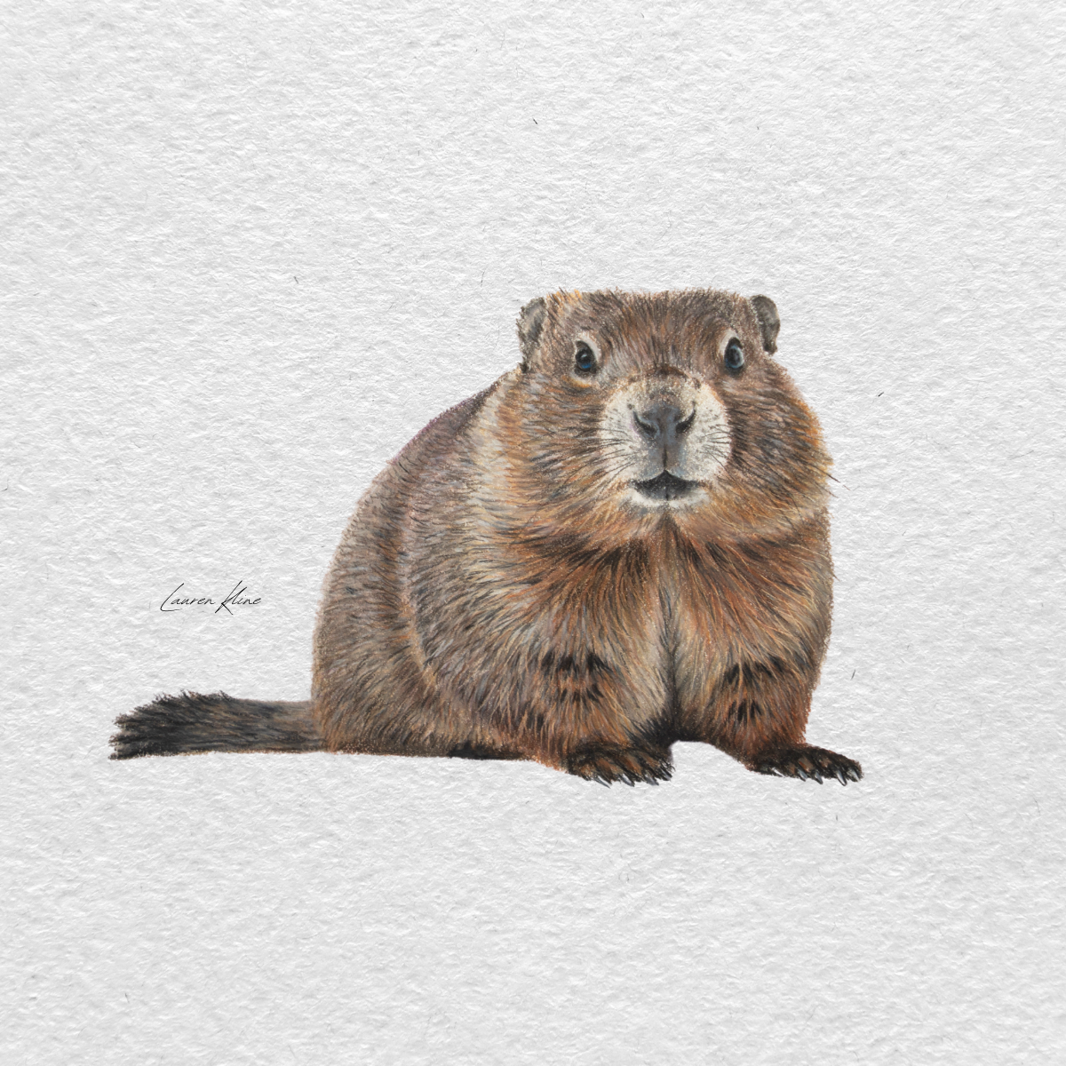 groundhog.png