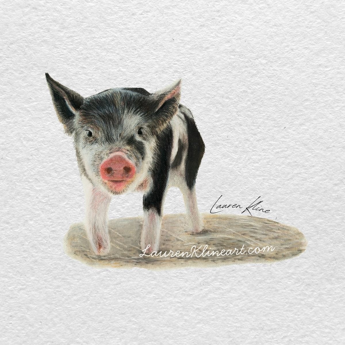 pig.jpg