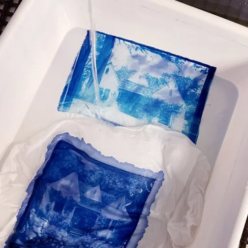 cyanotype-3.jpg