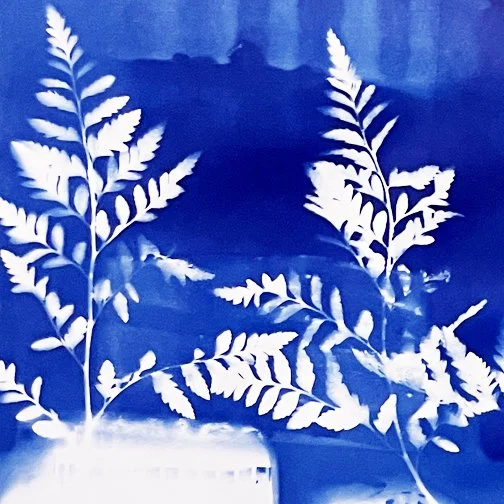 cyanotype.jpg