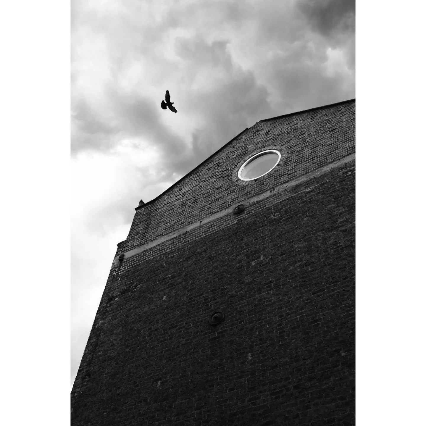 round window, 2024
tendrils, 2024
brick rooftops, 2024

#blackandwhitephotography #photography #photographer #photo #digitalcamera #brick #architecture #naturephotography #treephotography