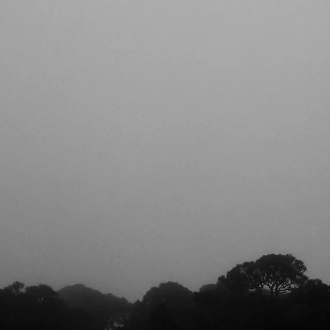 death; fog, 2023

#photography #photographer #landscapephotography #landscape #fog