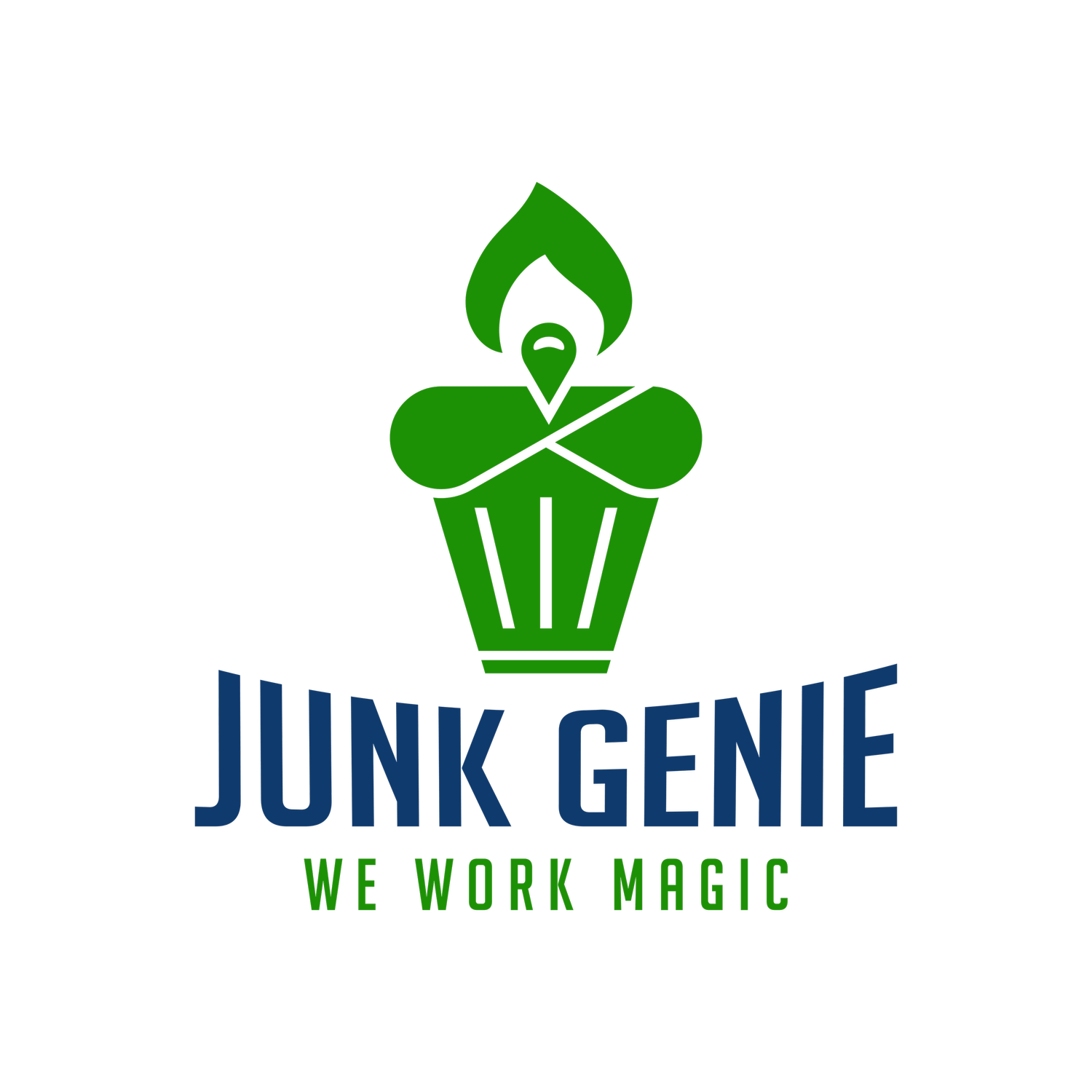 Junk Genie CT