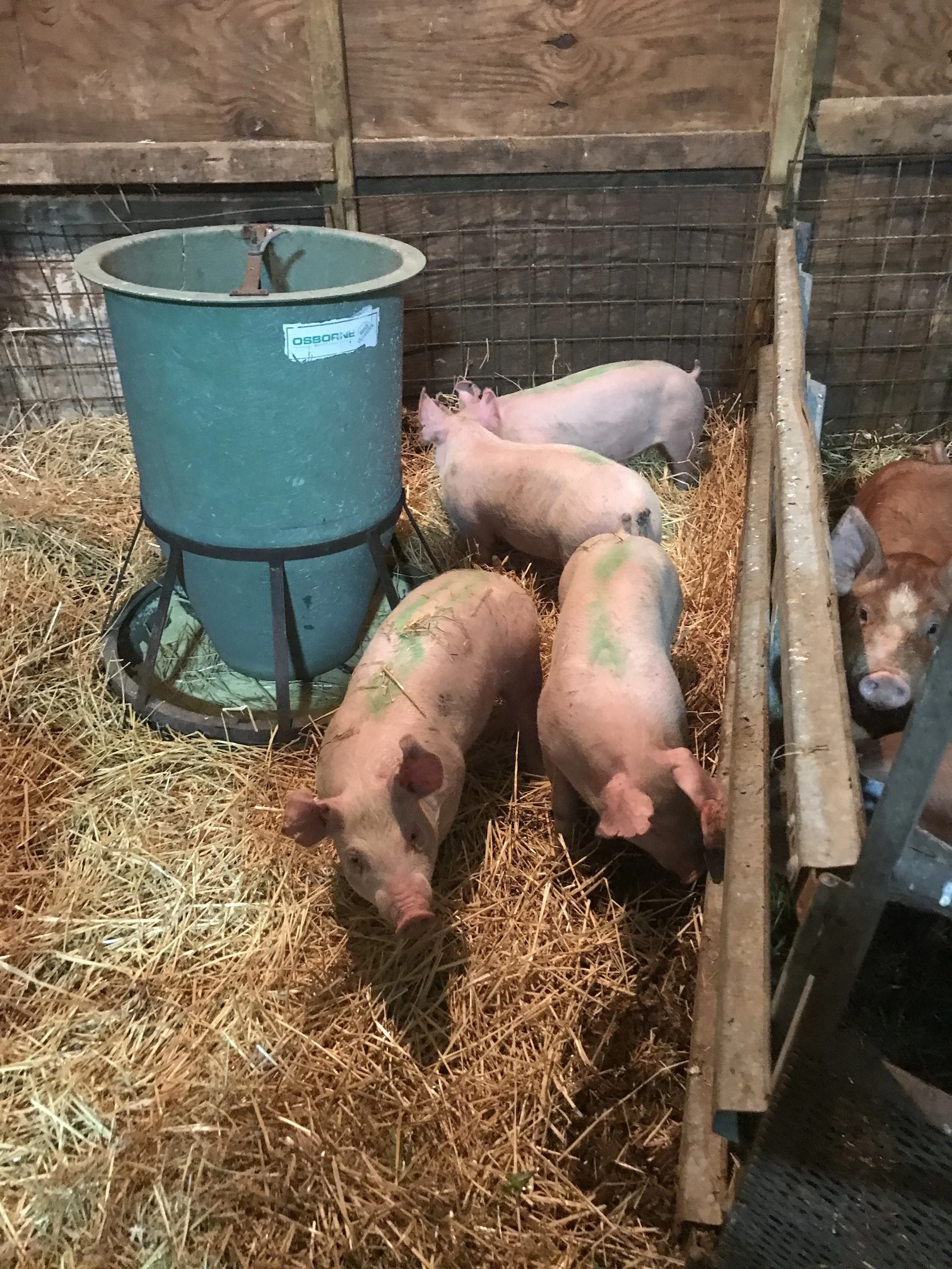 Sand Ridge Beef MI - IMG_0288.JPG