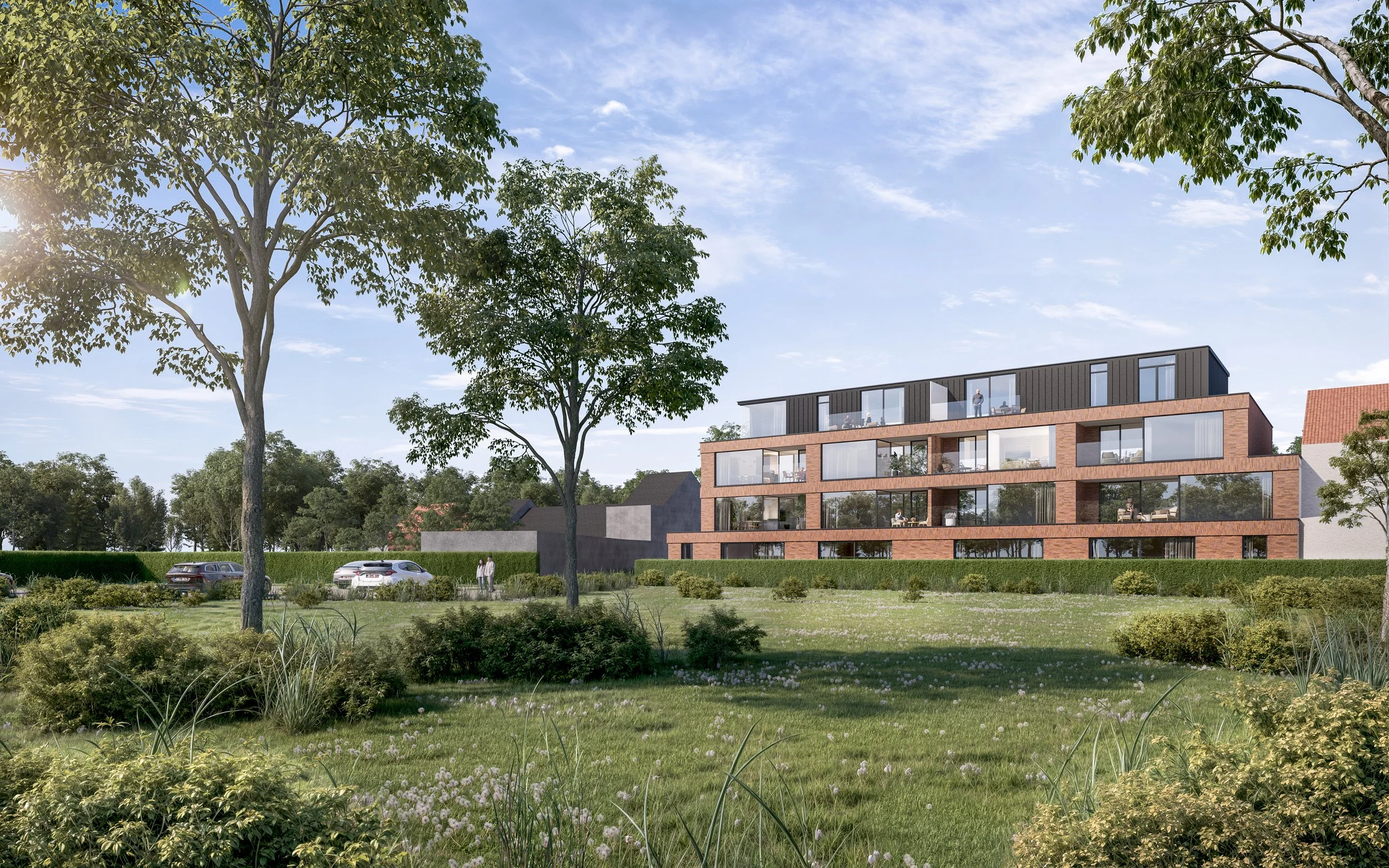 P3219 N 2025.06.27.JPG