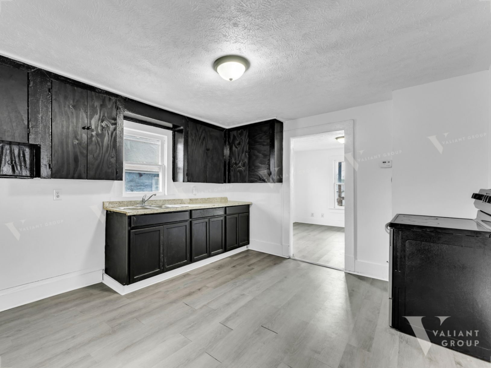 07--2100-W-Lee-St-Springfield-kitchen-black-cabinets-double-sink.jpg