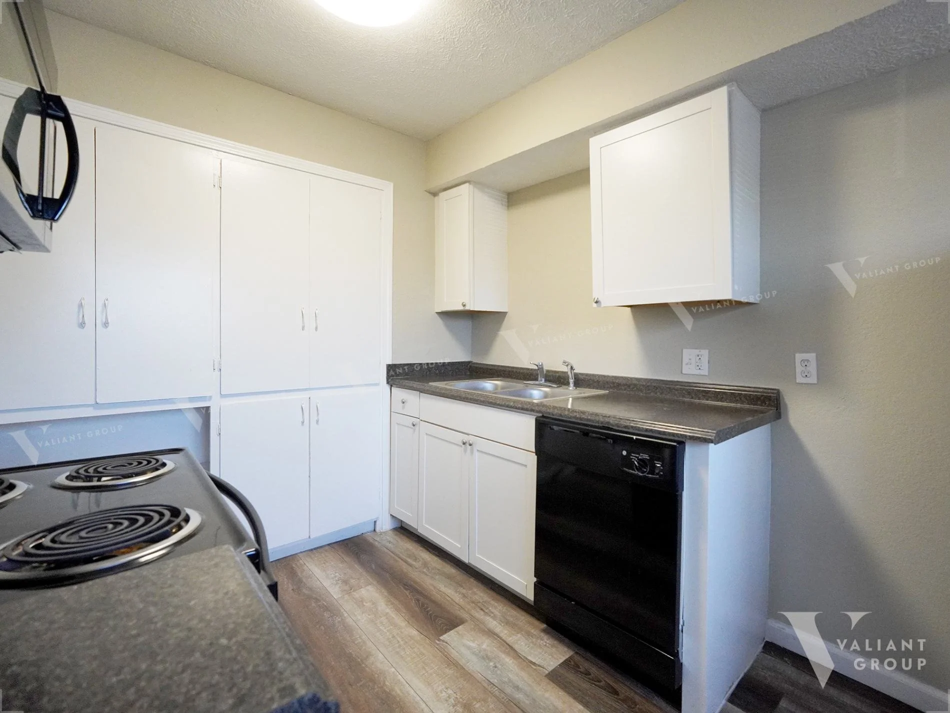 2107-E-Cherry-St-Apt-206--03-Kitchen-Dishwasher-Sink.jpg