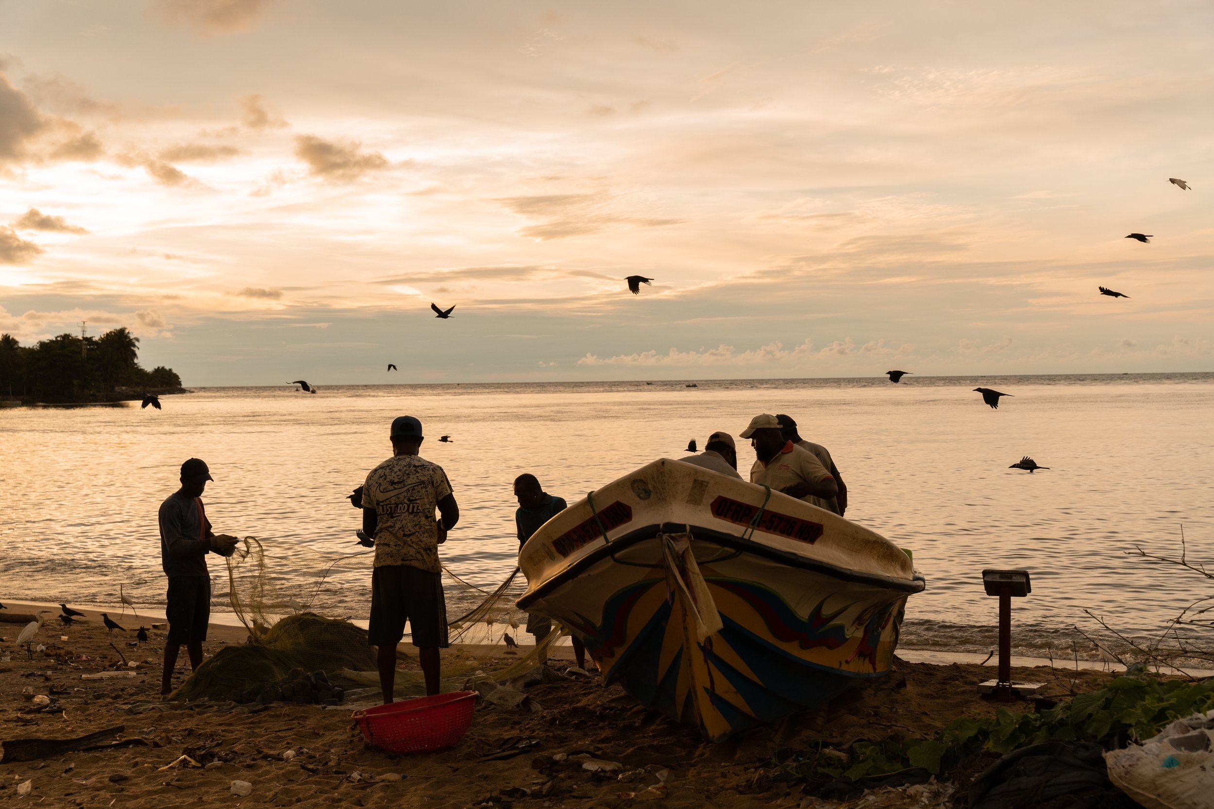 Pêcheurs de Négombo, Sri Lanka