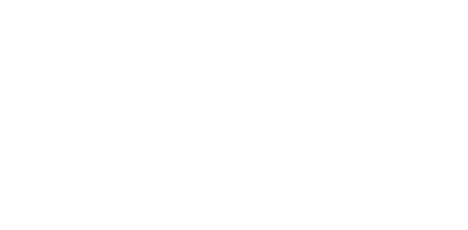 allbirds.png