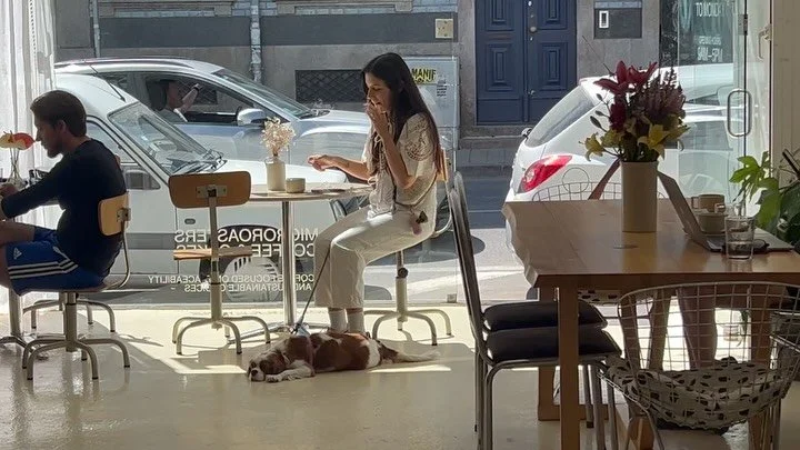 shots from todays caf&eacute;, us working and also enjoying our breaks🌞 the caf&eacute; heads into it&lsquo;s weekend now, we&lsquo;ll keep spinning and see you back on Thursday💘