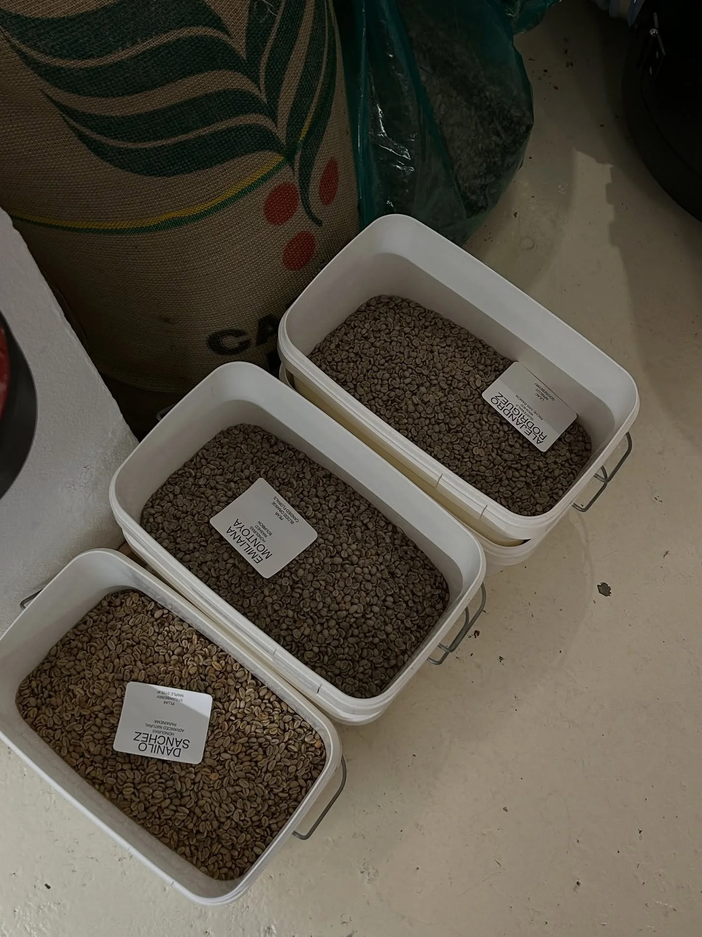 nothing staged, nothing crazy, just real moments from our caf&eacute; and roastery 🦑🌀🫘☄️🎢🌅