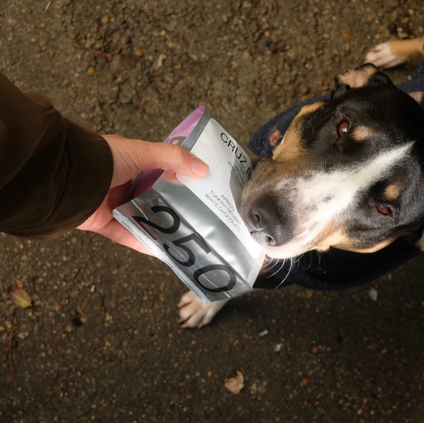 CRUZZZZZ PATAAAA is backkk🥵🫨😮&zwj;💨 Do you remember this one from last spring? Such a delicate coffee we absolutely enjoyed and therefore brought super happily again (and also plan on every year in the future via @cultivarperu ). You can expect s