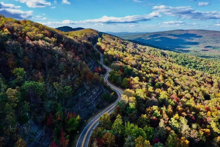 Ouachita Hometown Realtors