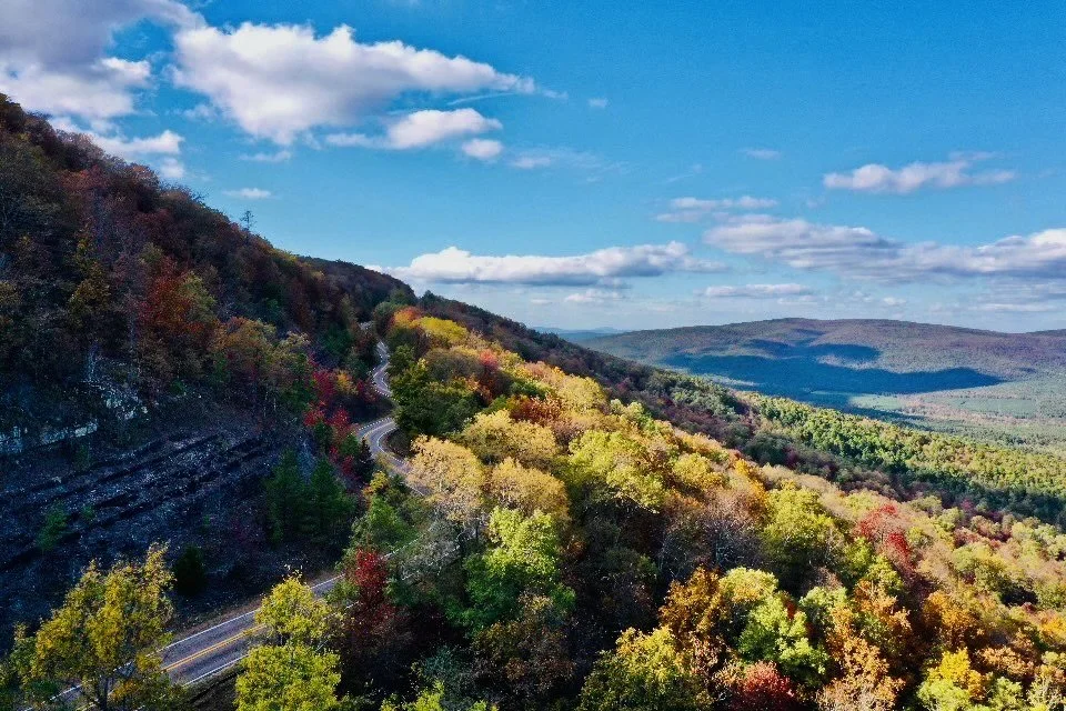 Ouachita Hometown Realtors